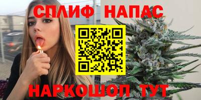 винт Нарткала
