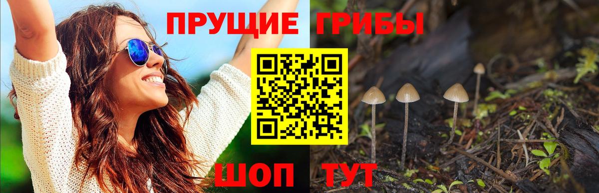 Галлюциногенные грибы прущие грибы Сергиев Посад
