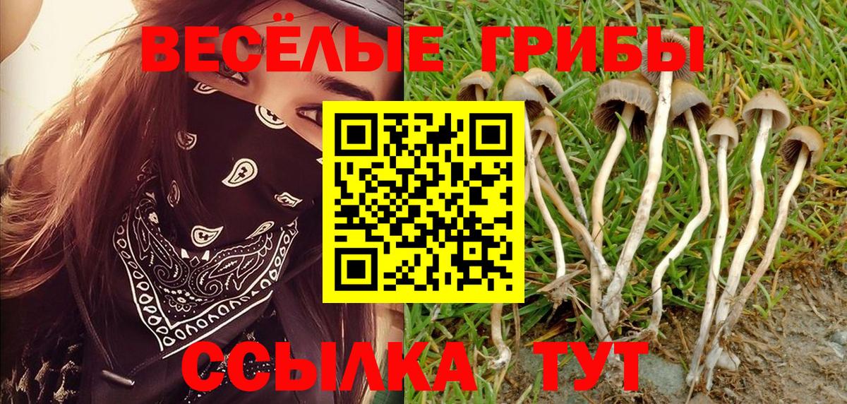 ГАШИШ Сергиев Посад