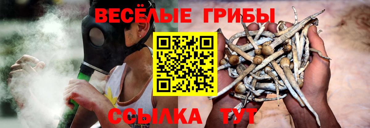 даркнет сайт  Вход с VPN  Сергиев Посад  Галлюциногенные грибы MAGIC MUSHROOMS 